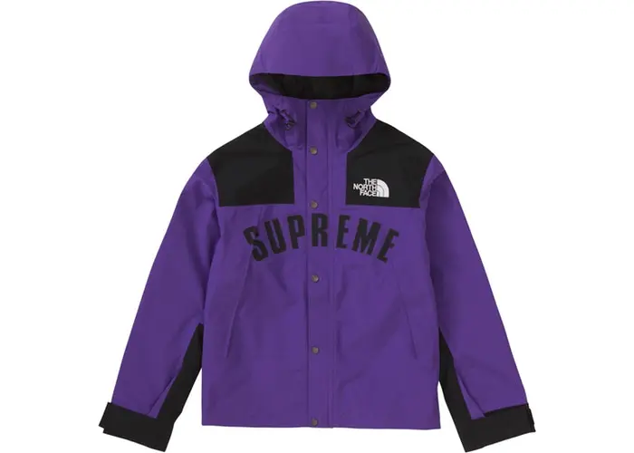 Supreme x The North Face Arc Logo Purple Mountain Parka